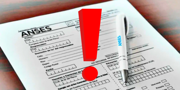 Atención ANSES: el Gobierno da de baja al 60% de los pensionados de una provincia, ¿cuáles fueron las razones?