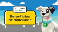 Cuenta DNI: el Banco Provincia confirmó los cambios en las promociones y topes de reintegro para diciembre 2024