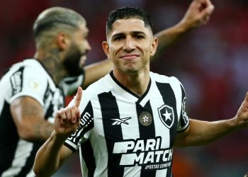 Botafogo acarició el título, pero Palmeiras le ahogó el festejo