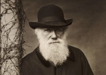 Cuál era la mirada de la Iglesia Católica sobre el origen de las especies antes de la Teoría de la Evolución de Charles Darwin