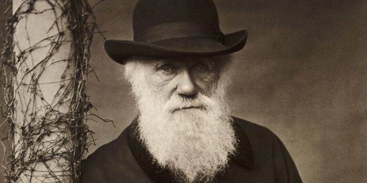 Cuál era la mirada de la Iglesia Católica sobre el origen de las especies antes de la Teoría de la Evolución de Charles Darwin