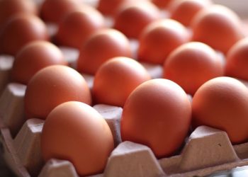 Cuánto tiempo duran los huevos en la heladera: el dato que alarma a millones