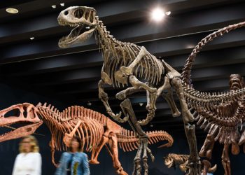 Vacaciones entre dinosaurios, dibujos animados y genios de la música clásica en Caixaforum