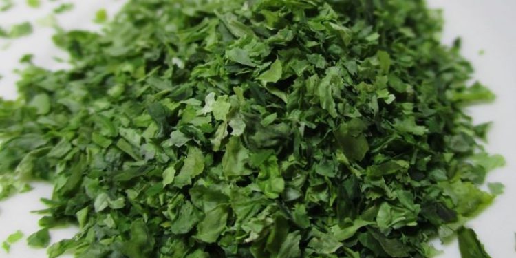 El alimento que pocos conocen, pero está lleno de omega-3 y calcio, fortalece los huesos y protege el corazón