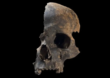 El hallazgo arqueológico escalofriante: investigadores encuentran señales de canibalismo en la Edad de Bronce