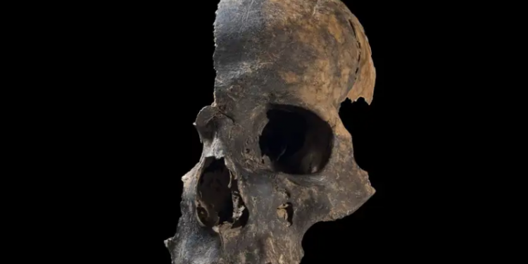 El hallazgo arqueológico escalofriante: investigadores encuentran señales de canibalismo en la Edad de Bronce