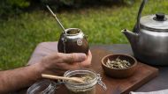 La hierba para agregar al mate que desinflama el abdomen, alivia los dolores y reduce el cansancio