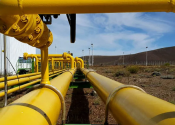 Gobierno insiste con privatizar el gasoducto clave que une Vaca Muerta y que permitirá exportar a Brasil