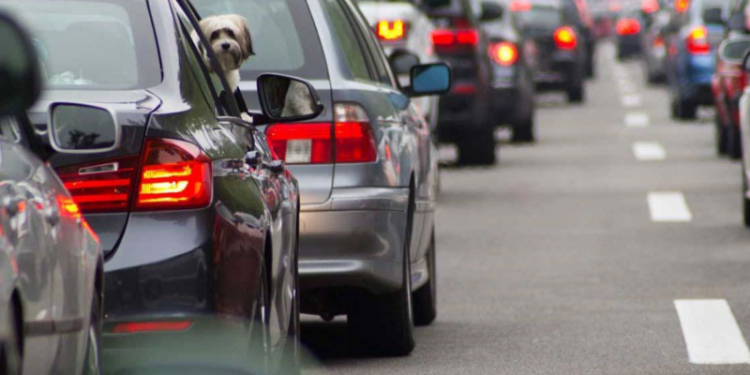 Google Maps: cuáles son los mejores trucos que facilitarán tu vacaciones para viajar por todo el país