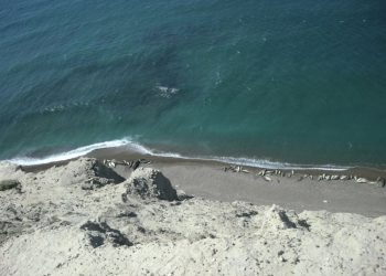 La localidad patagónica que los expertos recomiendan como un destino barato para el verano 2025