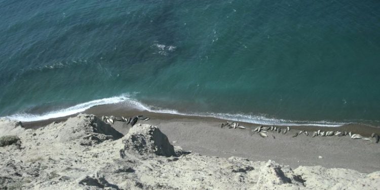 La localidad patagónica que los expertos recomiendan como un destino barato para el verano 2025