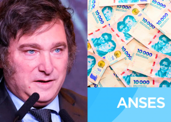 La mayor cartera de activos del país tuvo una evolución inesperada: le pegó el rally de la Bolsa y la baja de riesgo país