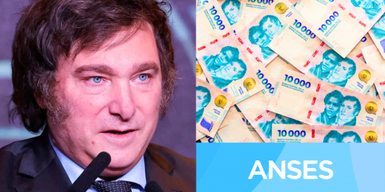 La mayor cartera de activos del país tuvo una evolución inesperada: le pegó el rally de la Bolsa y la baja de riesgo país