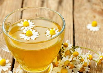 Las 8 infusiones que debés tomar para prevenir molestias después de comer y cuidar tu organismo