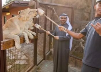 Las exóticas vacaciones de Lamine Yamal en Dubai