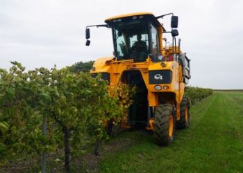 Malas noticias para los trabajadores: esta será la nueva edad para la jubilación a partir de 2025