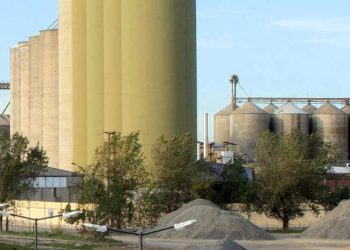 Molino Cañuelas logró mayoría para su propuesta de reestructuración de deuda