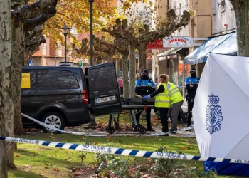 Cinco hombres detenidos por su posible implicación en la muerte violenta de un varón en Aranda de Duero (Burgos)