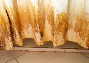 Ni vinagre, ni lavandina: la solución definitiva para sacar los hongos de la cortina de la ducha para siempre