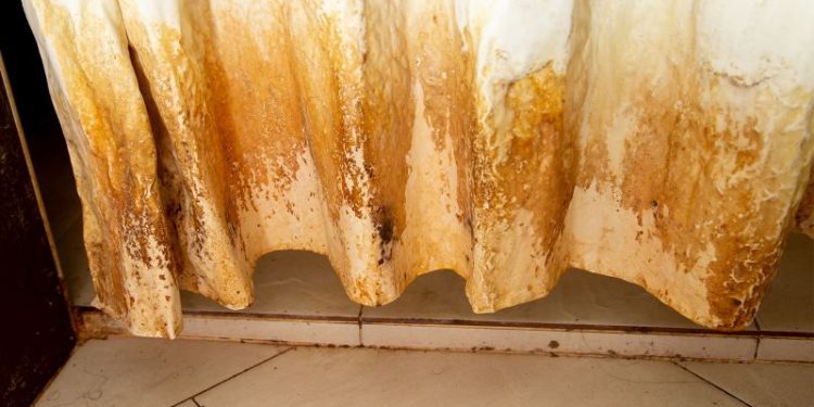 Ni vinagre, ni lavandina: la solución definitiva para sacar los hongos de la cortina de la ducha para siempre