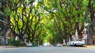 Ni Libertador ni 9 de Julio: la avenida m&aacute;s hermosa de Buenos Aires que tiene mansiones de ensue&ntilde;o