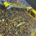 Video: la canción con la que la Bombonera recibió a los jugadores de Boca tras la derrota con Vélez