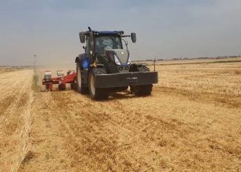 Precios «ruinosos» para el cereal que ha terminado su siembra con buenas perspectivas