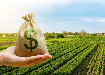 Positivo: Argentina exporto desde el sector agro-industrial un 26% mas que en 2023