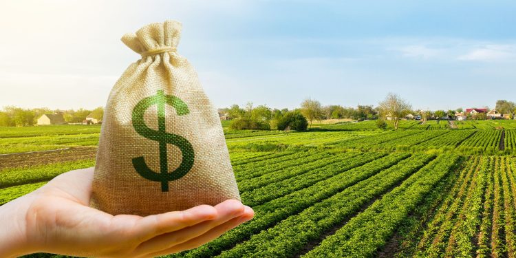 Positivo: Argentina exporto desde el sector agro-industrial un 26% mas que en 2023