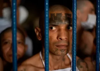 ¿Vaquita?: Un apresurado fallo de sala de feria de Casación podría liberar a 15 Mil narcotraficantes en Argentina.