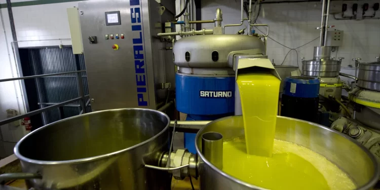 El Parque Joyero de Córdoba espera estar al cien por cien de su ocupación en 2025