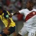 Aldosivi incorpora a un ecuatoriano mundialista