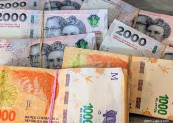 Bonos en pesos: ¿qué prefiere el mercado: tasa fija, títulos CER, o los nuevos duales?