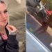 Escándalo por atropello en Pinamar: la conductora Paris de Sena salió a provocar por redes sociales