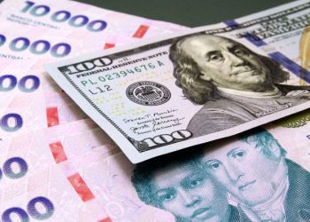 Dolarización: un camino que se impone más por el ajuste que por la inversión