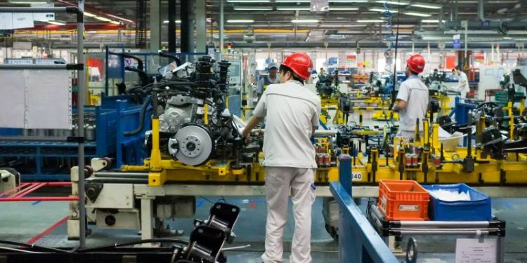 En noviembre volvió a crecer la actividad económica: qué sector clave impulsó la suba