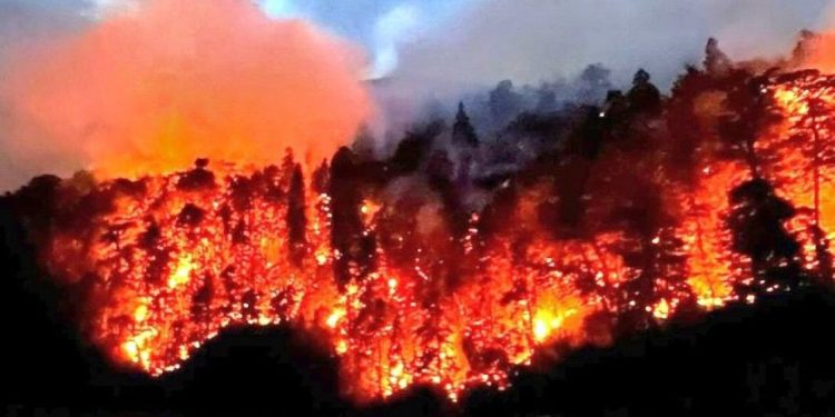 El incendio en el Parque Nahuel Huapi resulta imparable y ya consumió casi 6000 hectáreas, a pesar de las lluvias.