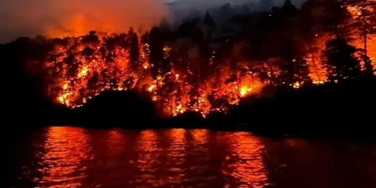 Incendio en el Parque Nacional Nahuel Huapi: Más de 3.500 hectáreas afectadas y condiciones críticas