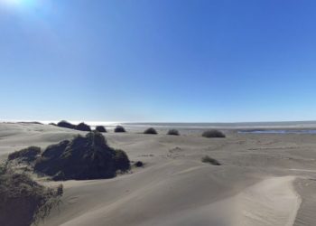 La playa secreta que está a solo 4 horas de Buenos Aires y es una reserva ecológica