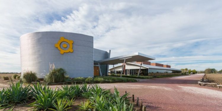 Los Grobo deben más de u$s 200 millones y un cuarto vence en el primer trimestre