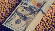 Por qué se desploma el dólar tras la baja de retenciones