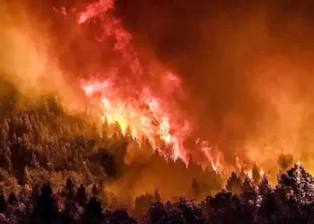 Silencio oficial: Incendio en el Parque Nacional Nahuel Huapi sigue activo después de 30 días y podría empeorar