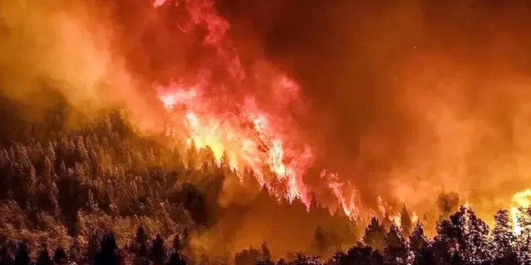 Silencio oficial: Incendio en el Parque Nacional Nahuel Huapi sigue activo después de 30 días y podría empeorar