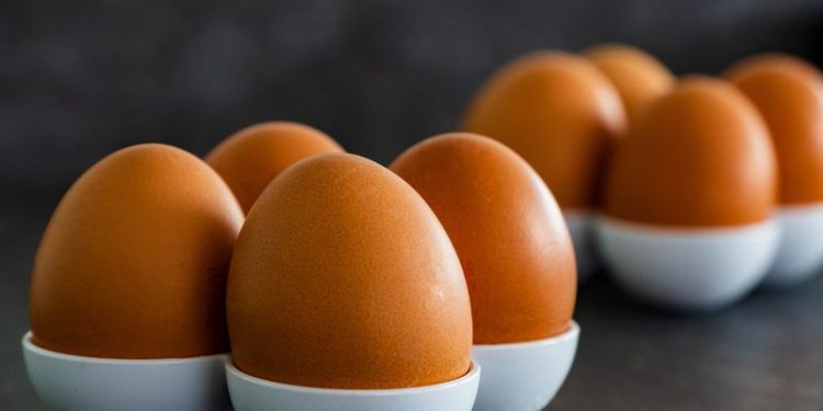 Ni frito ni revuelto: la forma correcta de cocinar el huevo para aprovechar al máximo sus proteínas