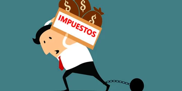 El estado glotón y la “micropyme” en peligro de extinción