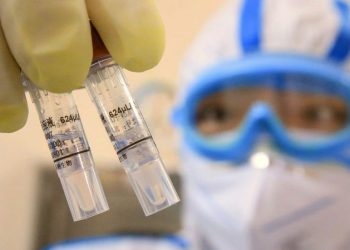 Qué es el HMPV, el virus por el que China declaró la emergencia: ¿puede haber una nueva pandemia?