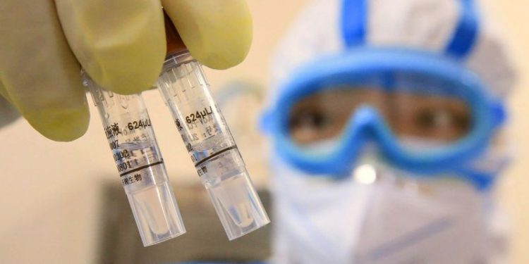 Qué es el HMPV, el virus por el que China declaró la emergencia: ¿puede haber una nueva pandemia?