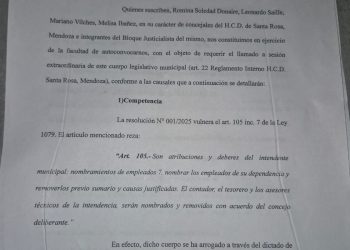Santa Rosa: el PJ desconoce la sesión que quitó aval a la madre de Flor Destéfanis como asesora letrada