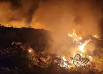Incendio forestal en Tandil afectó el Cerro de la Cruz
