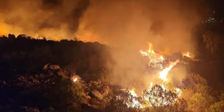 Incendio forestal en Tandil afectó el Cerro de la Cruz